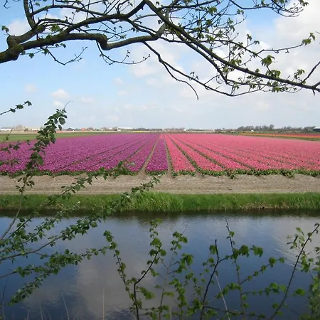 ريستين فارمينهاوزين